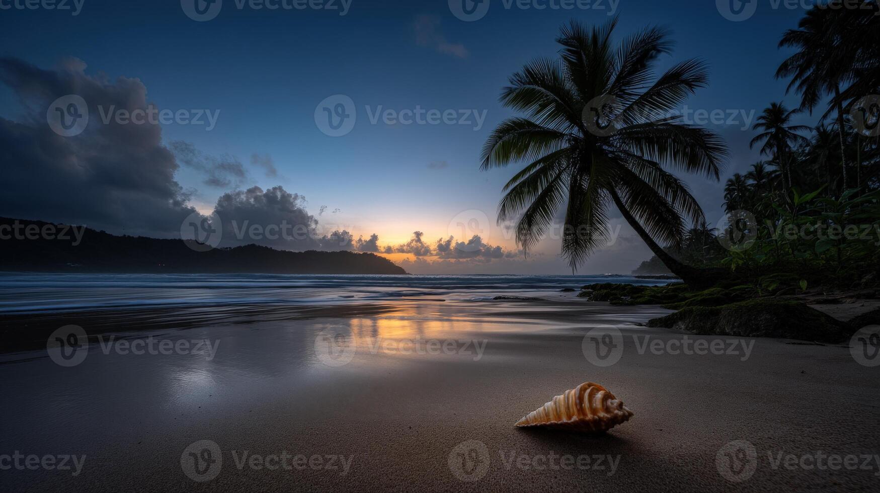 Serene sunset on a quiet beach with a seashell and palm trees photo