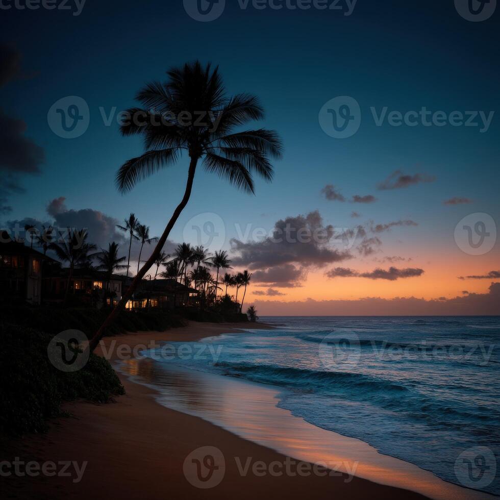 Stunning coastline at dusk with palm trees and gentle waves on sandy beach photo