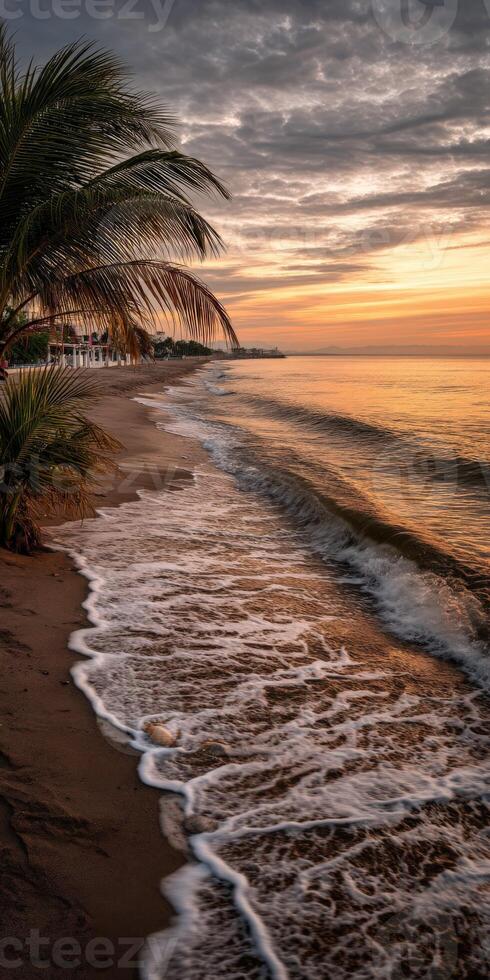 Sunset over calm beach with gentle waves and palm trees in the foreground photo