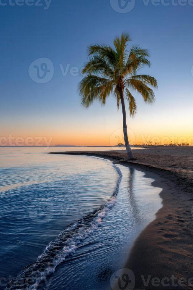 Sunset over calm waters with palm trees on sandy beach photo