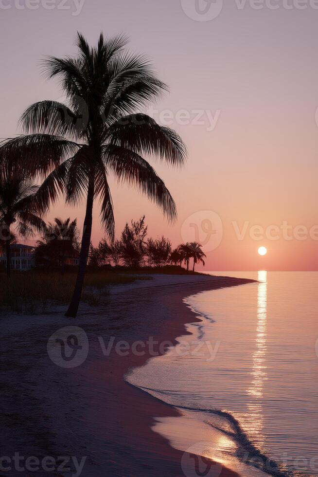 Sunset over the tranquil beach with silhouetted palm trees in Florida photo