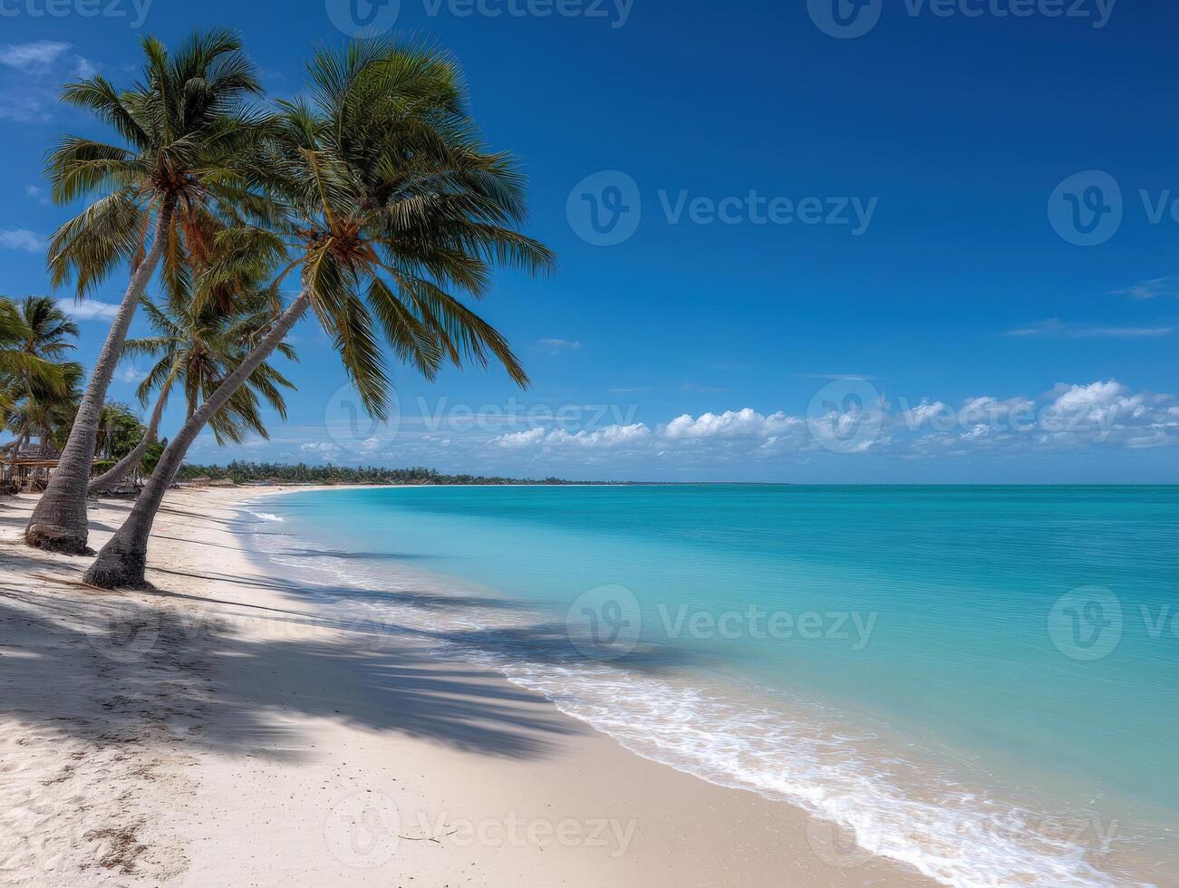 Calm beach with palm trees and clear turquoise water during a sunny day photo