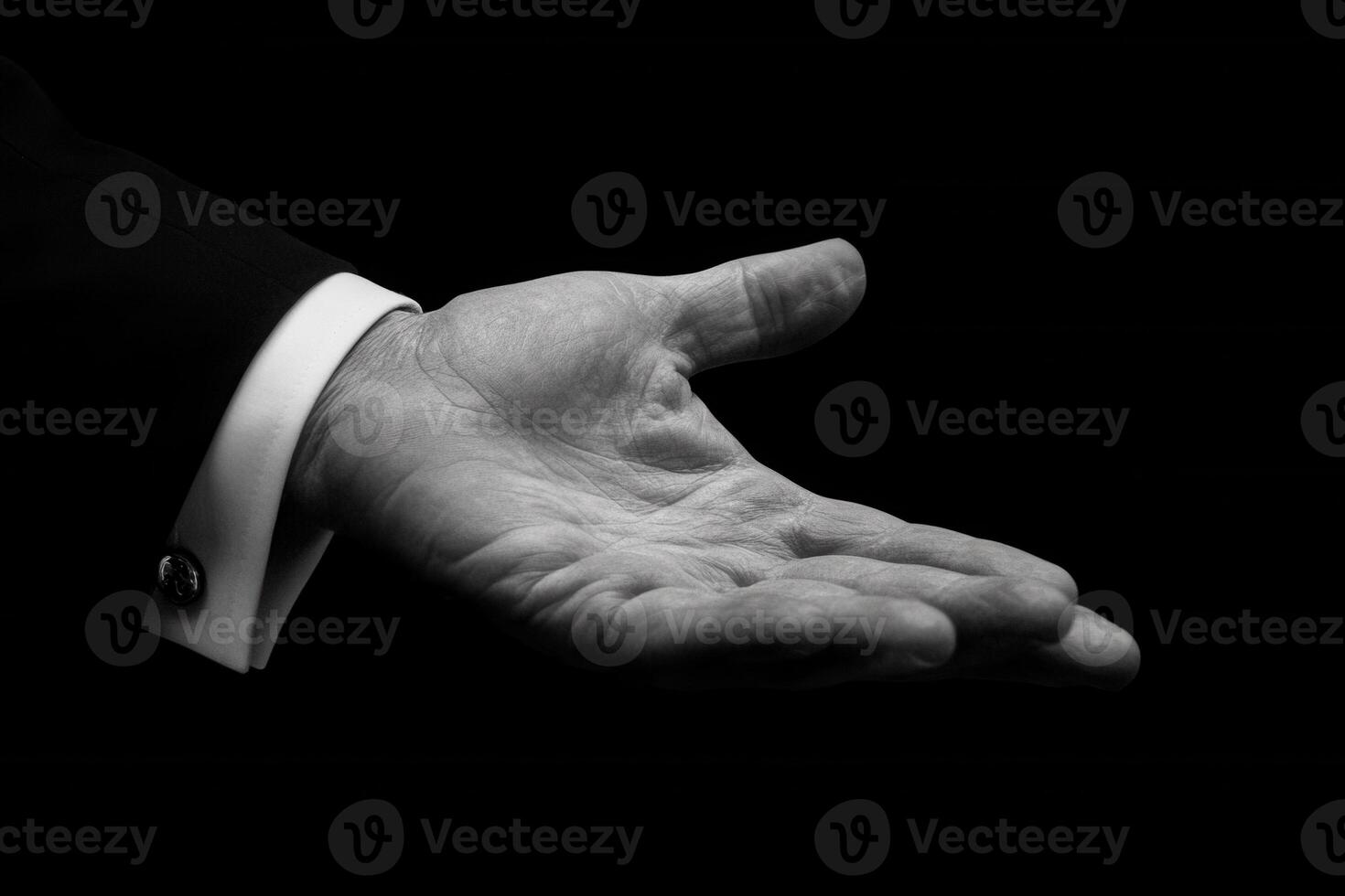 Elegant hand gesture in black and white, symbolizing invitation or offering photo