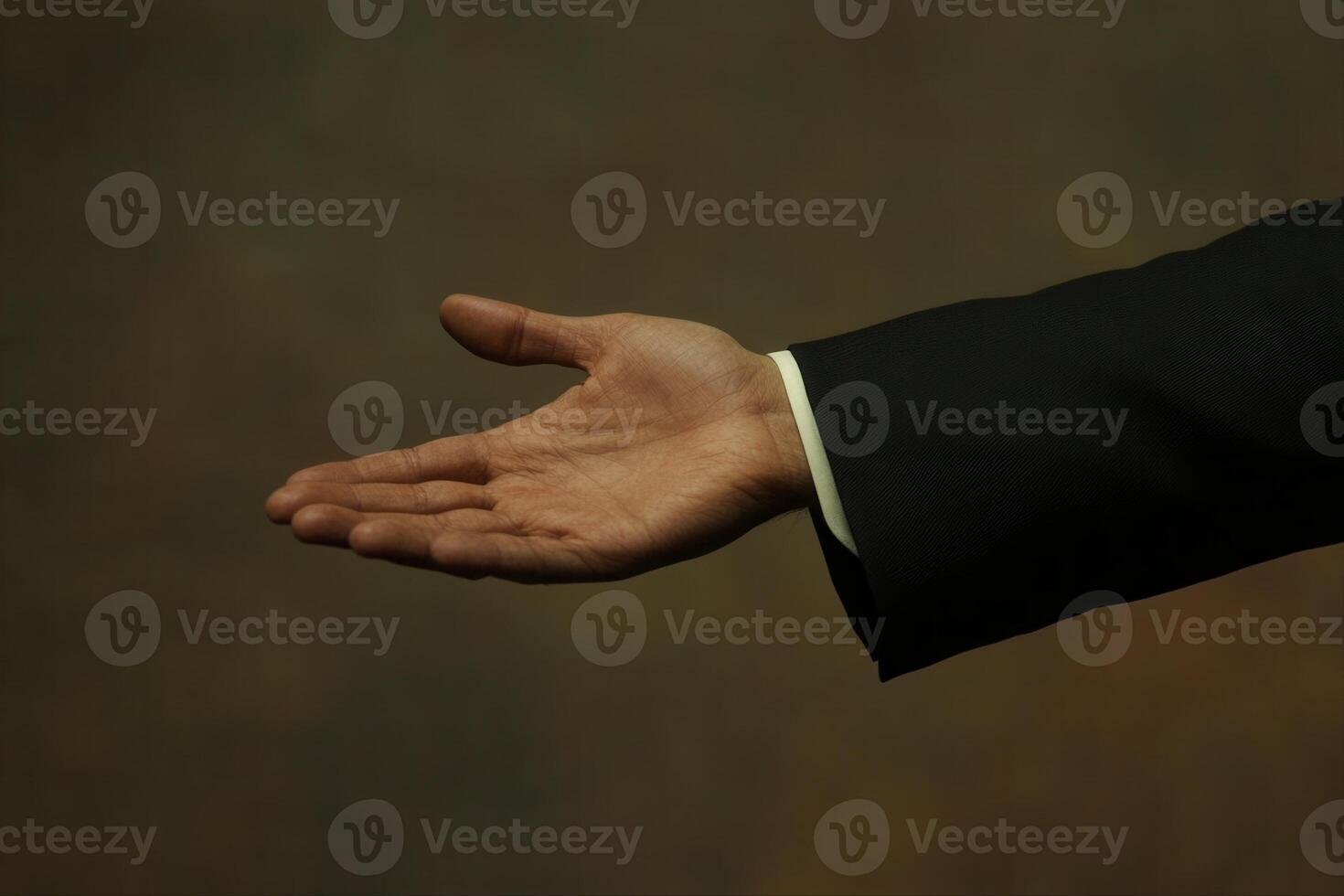 Elegant hand gesture reaching out against a blurred background, suggesting invitation or greeting photo