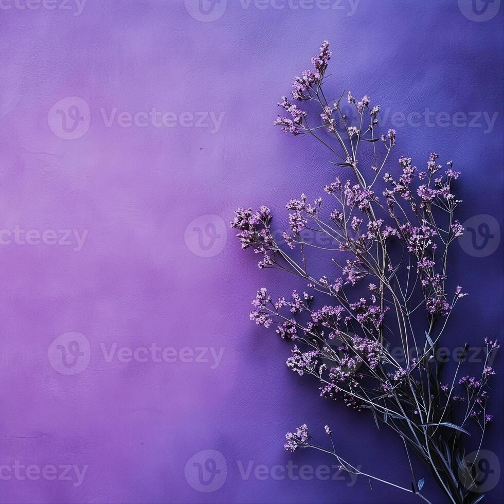 Delicate lavender sprigs against a soft purple gradient background, creating a serene atmosphere photo
