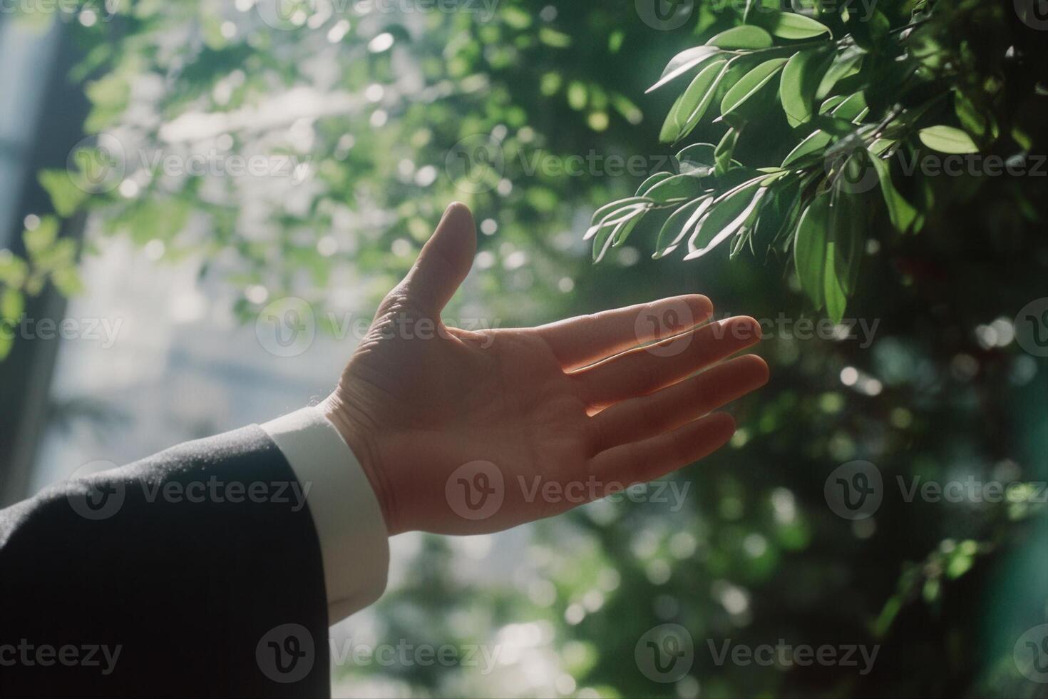 A business professional reaching out towards vibrant green leaves in a sunlit office space photo