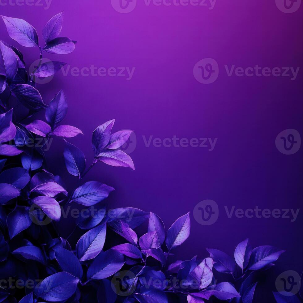 Vibrant purple leaves against a smooth gradient background, creating a serene atmosphere photo