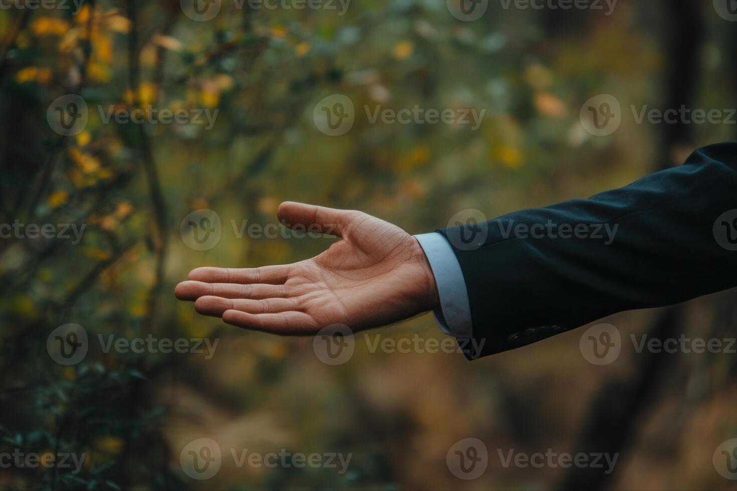 Man in a suit extending his hand in a natural setting, inviting connection amidst greenery photo