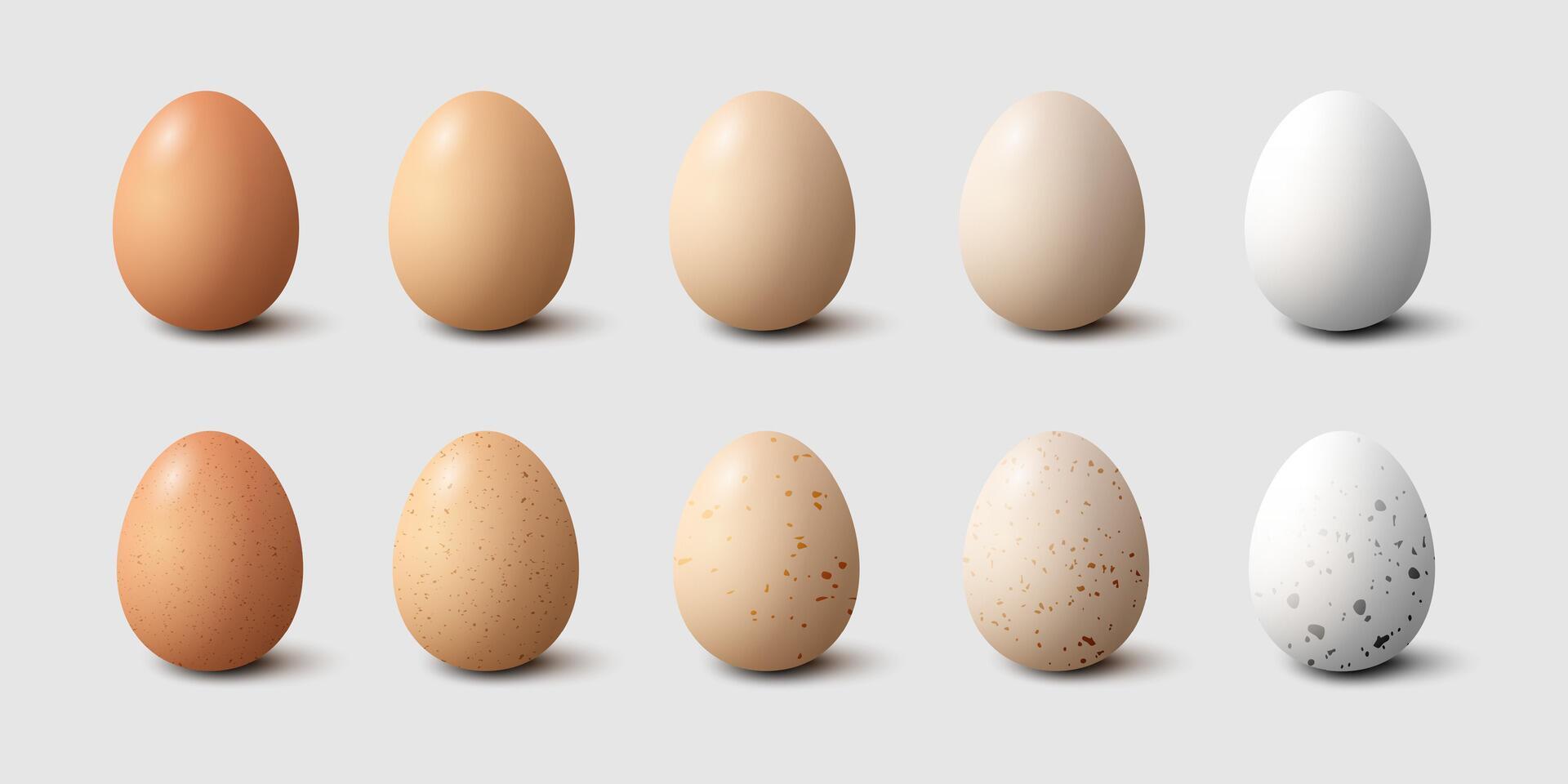 Plain and Speckled Eggs on White Background vector