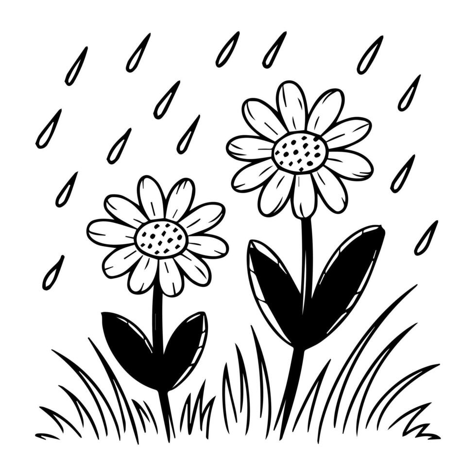 Two flowers in the rain vector