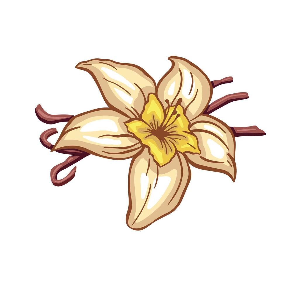 vanilla image drawing color hand made vector