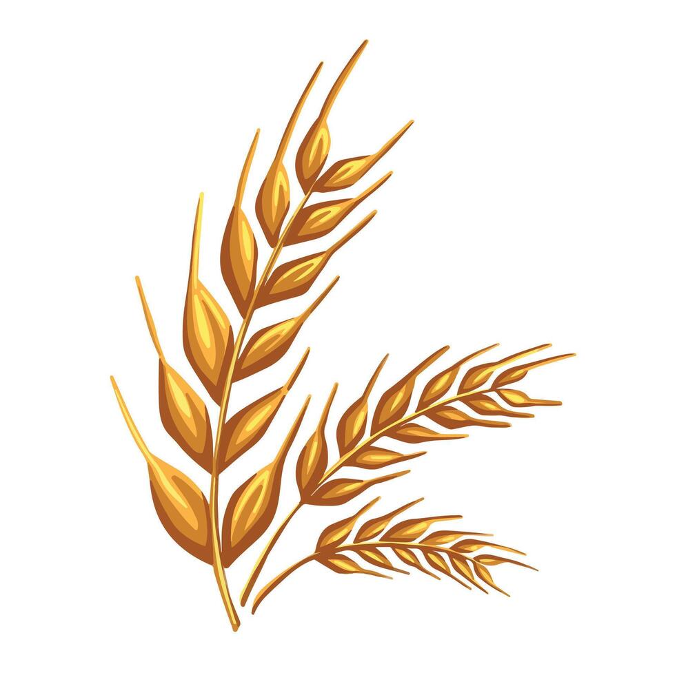 rye image color cartoon hand made vector