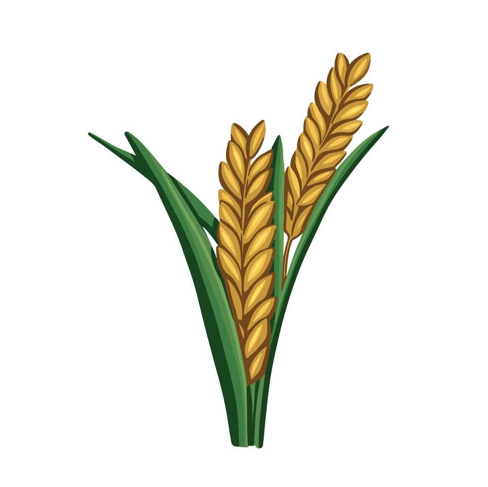 wheat image color cartoon hand made vector