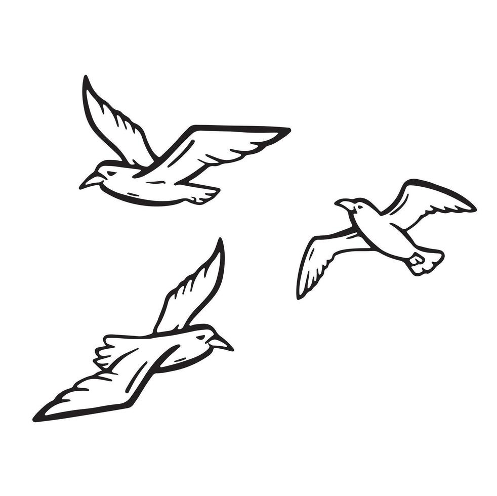 line seagull in flight illustration hand made vector