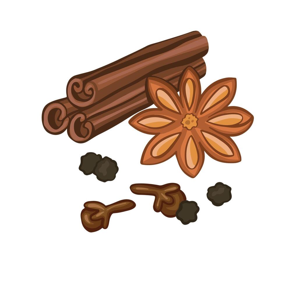 cinnamon set of spices colored, illustration, hand drawn vector
