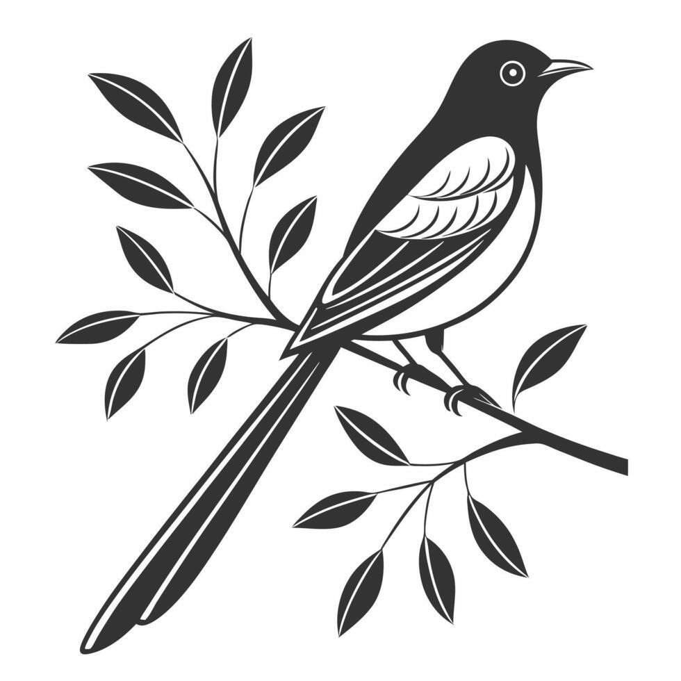 Elegant magpie bird illustration perched on branch with leaves black and white vector