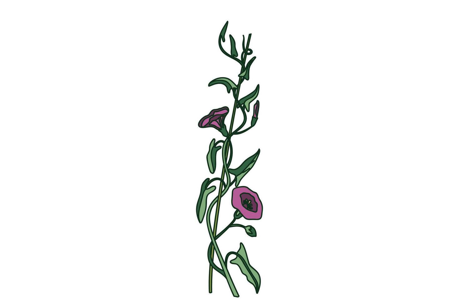 Botanical floral vertical border isolated on white background. Hand drawn bindweed plant with purple Flowers Stems green Leaves illustration. Graphic design element for Birthday Wedding Card vector