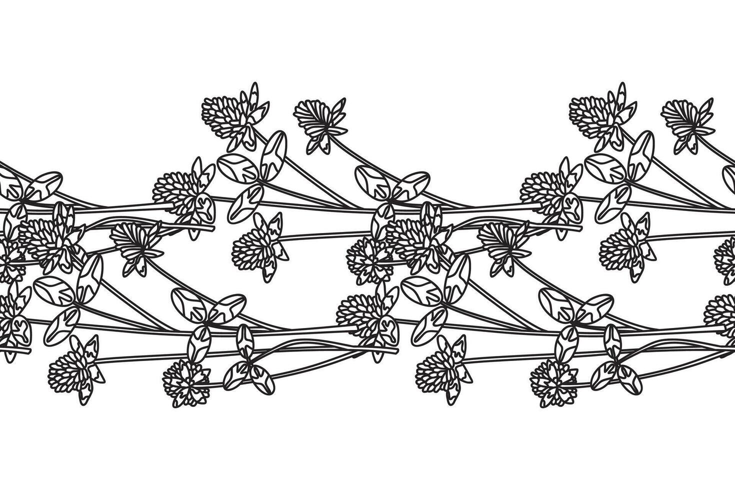 Line art botanical floral horizontal seamless border isolated on white background. Hand drawn outline clover plant with Flowers Stems Leaves illustration.Graphic design element for Wedding Card vector