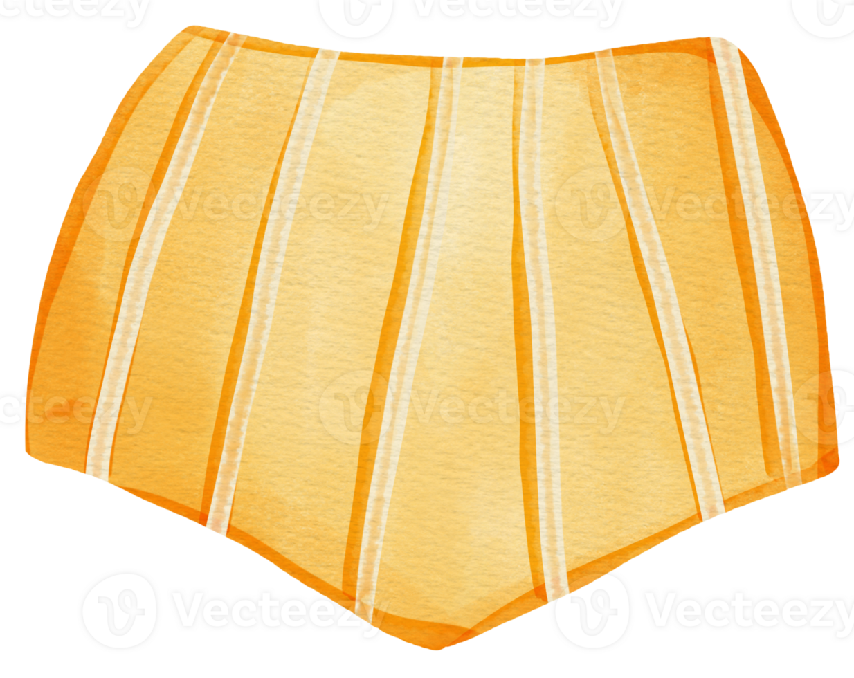 Bikini underpants summer png