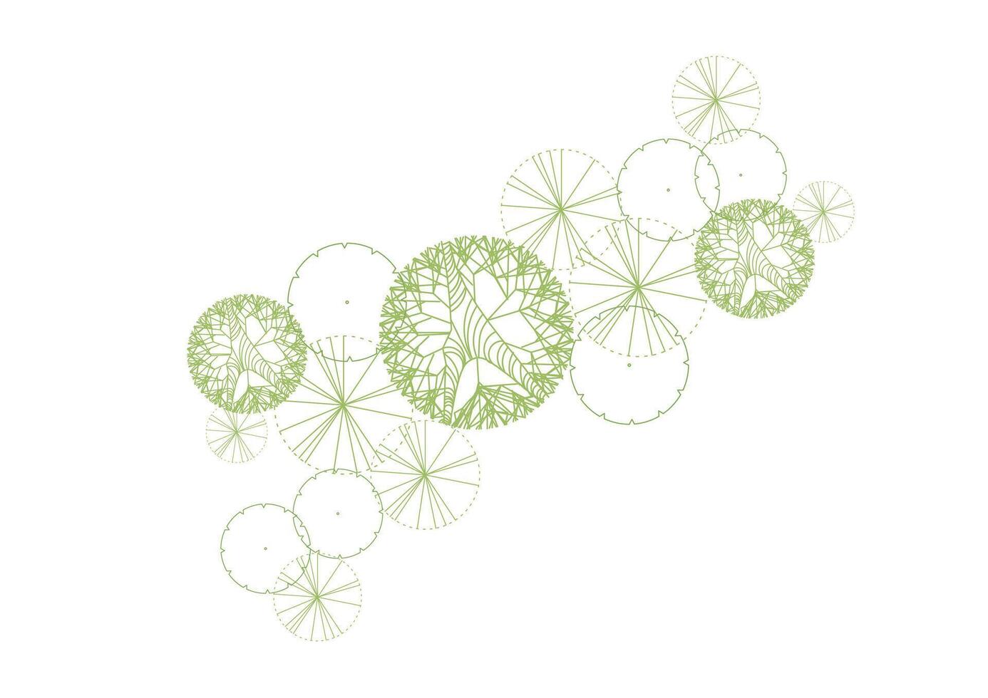 Parchitecture drawing plant tree top view plan greenery vegetation . design nature architectural landscape set element vector