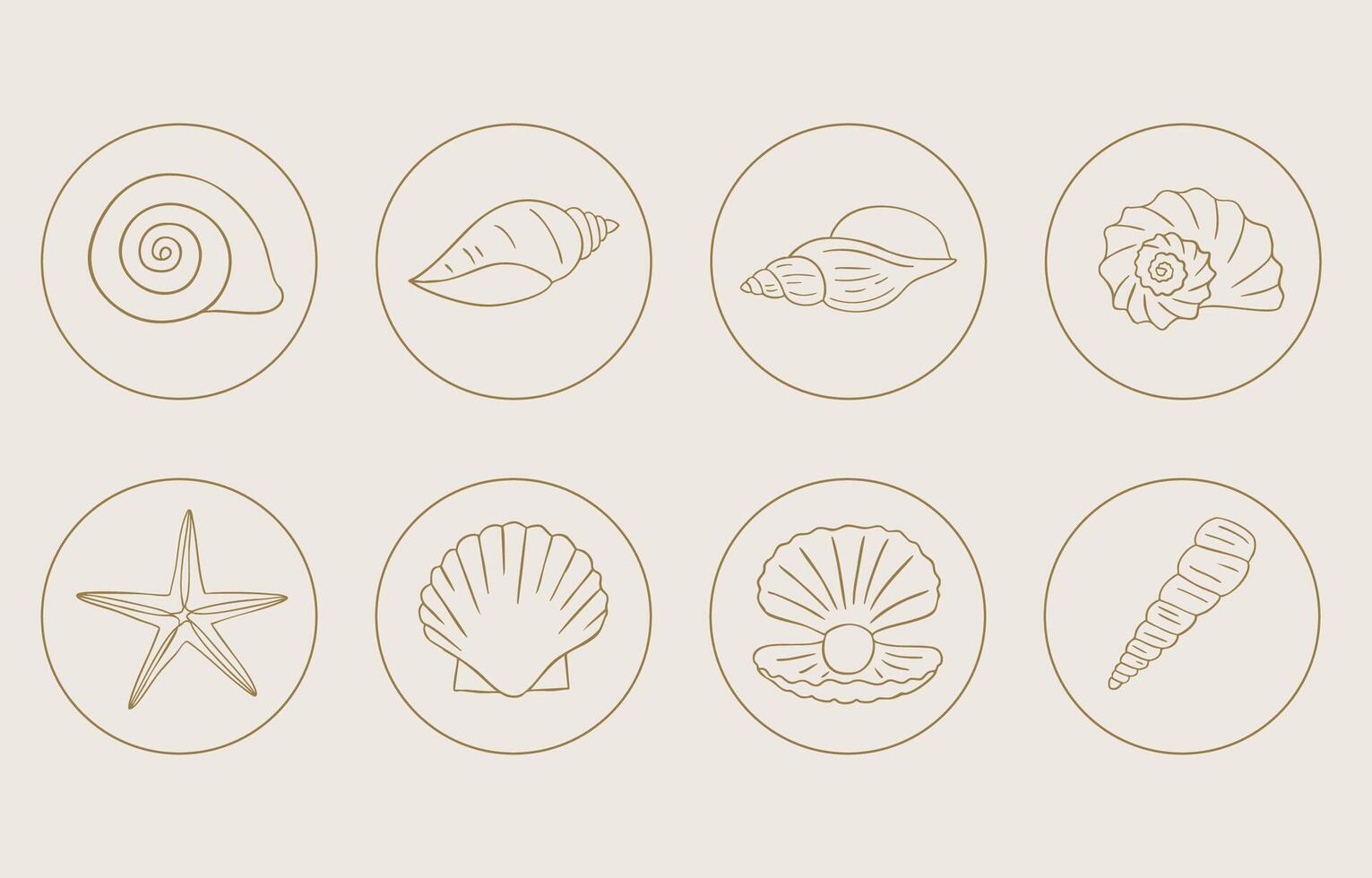 summer gold icon with shell circle for kid design vector