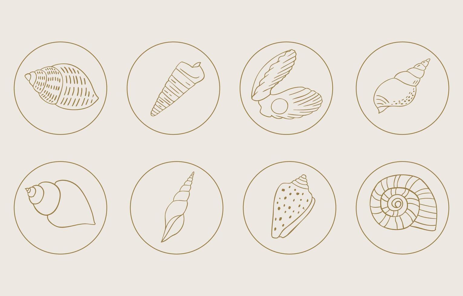 summer icon with shell circle vector