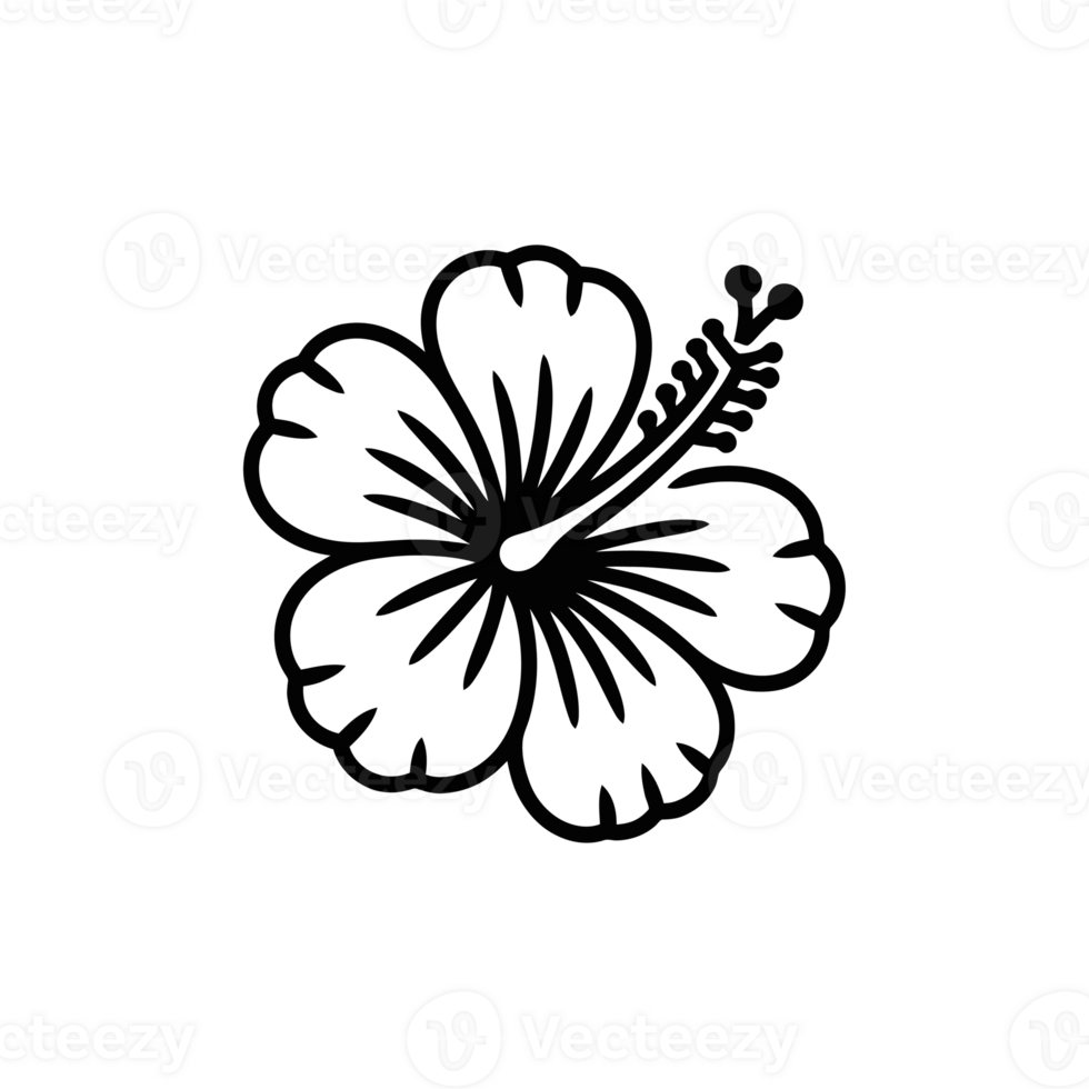 A black outline of a hibiscus flower showcases its distinct petals and prominent stamen cutouts png
