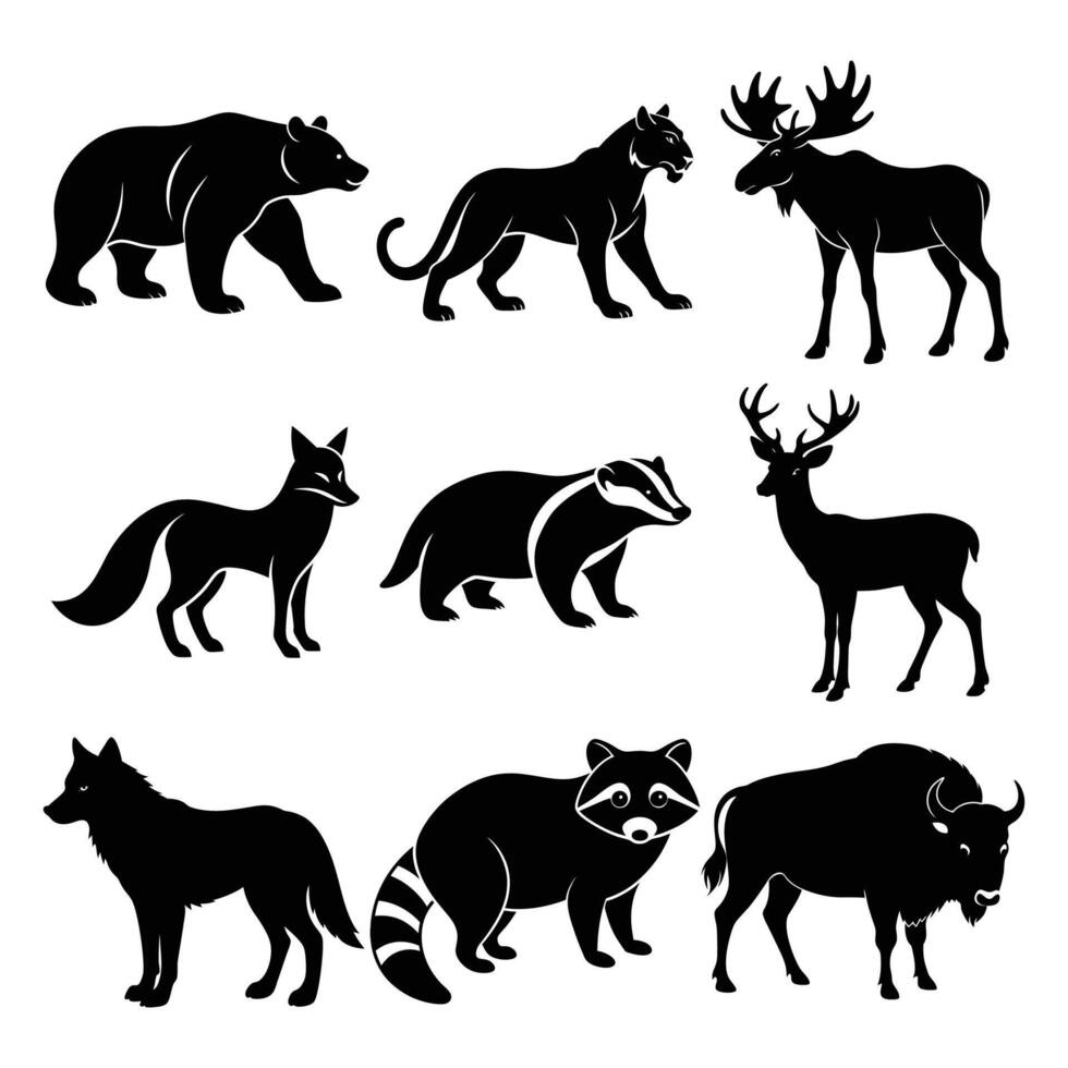 Wild Animals of North America Illustration Bundle vector