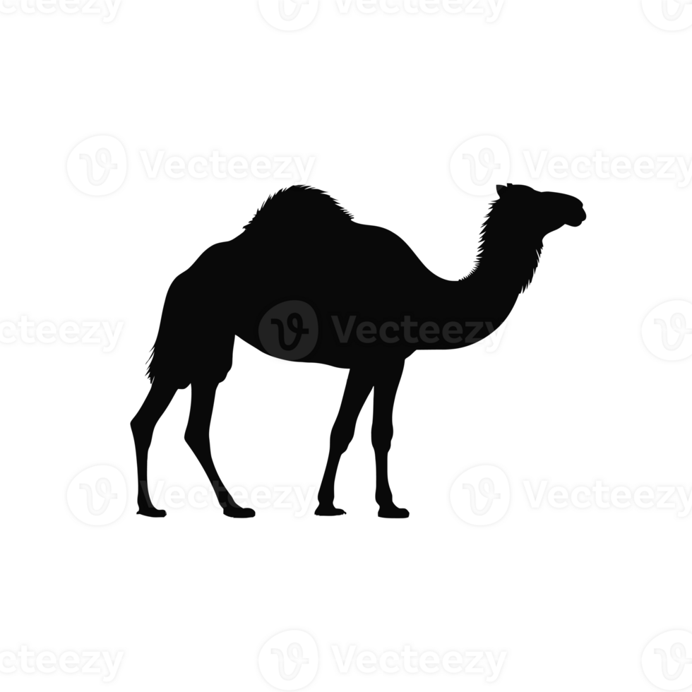 A black silhouette of a camel cutouts png
