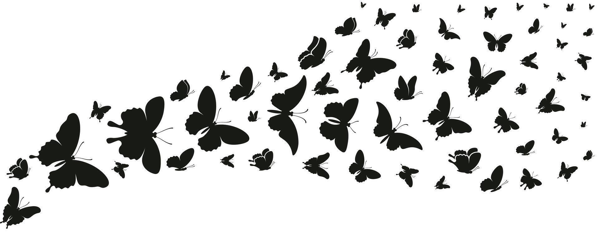 Flying Butterfly Silhouettes Set. Classic Shapes on White vector
