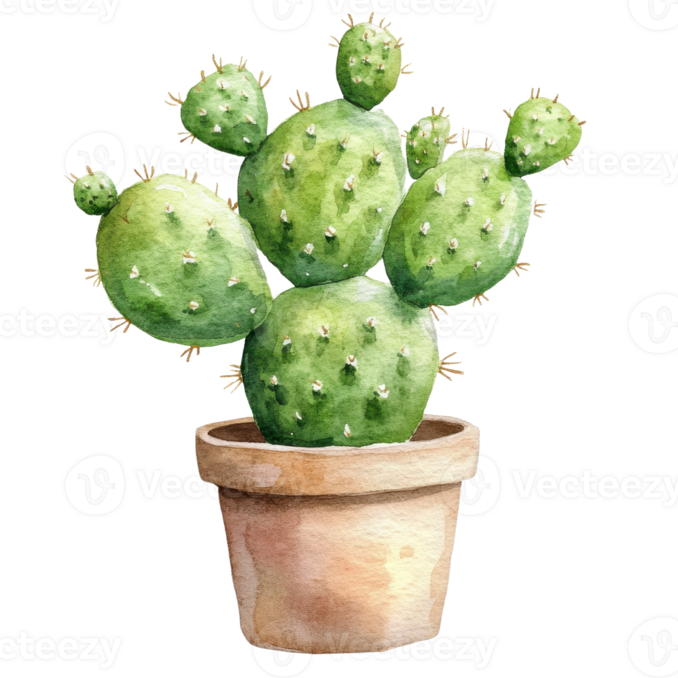 A potted prickly pear on transparent Background png