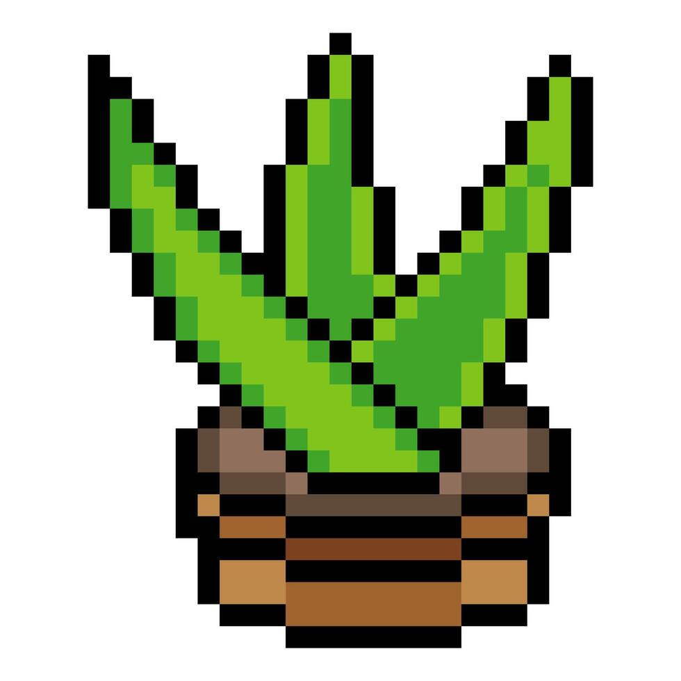 Aloe vera plant in pot with pixel art isolated on white background vector