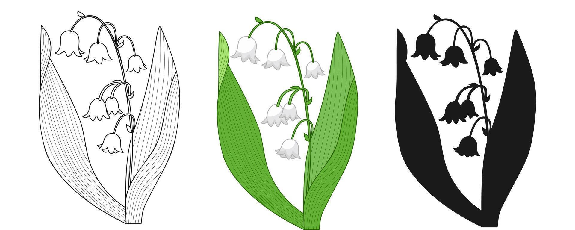 Lily Valley Spring Flower Outline Silhouette vector