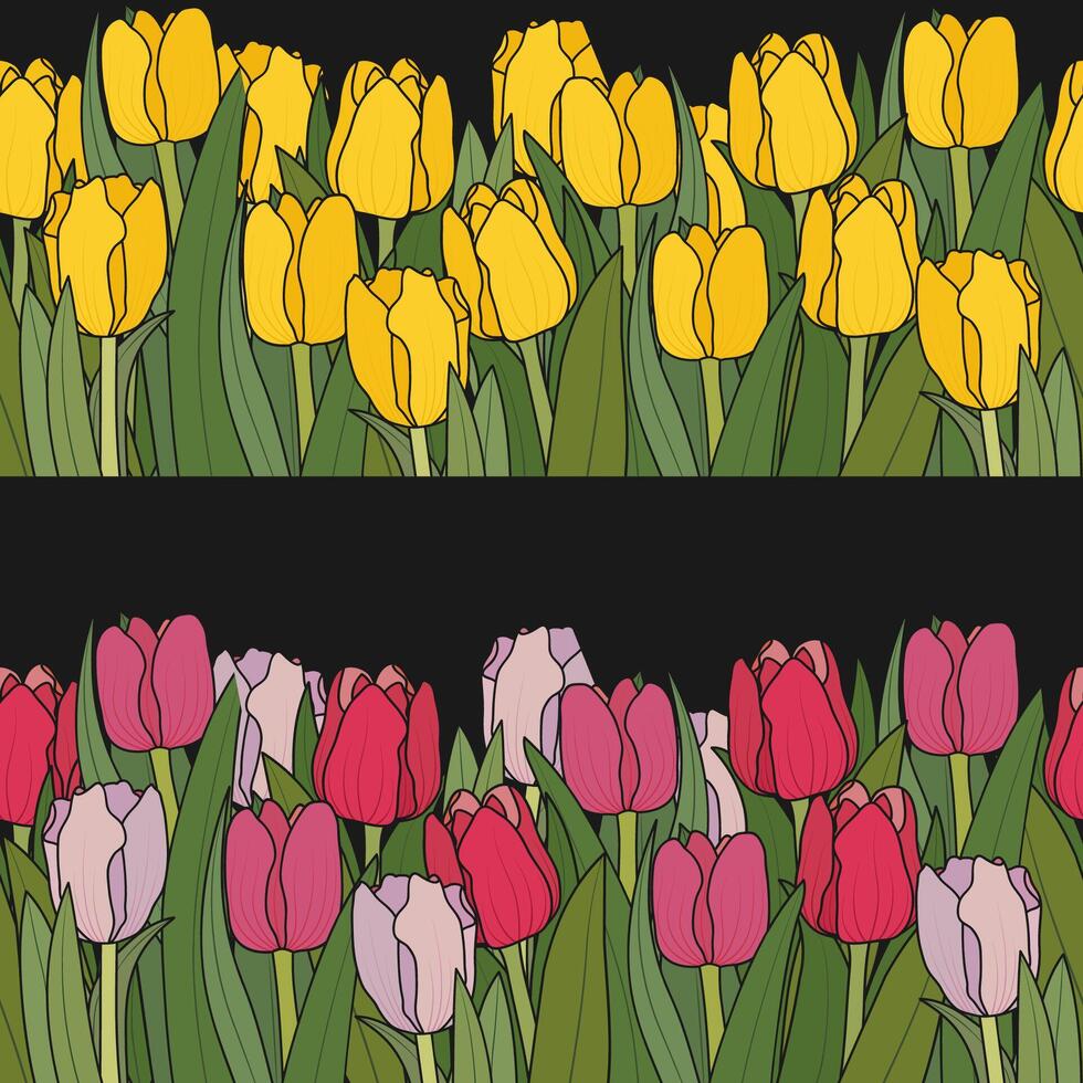 Tulip Flowers Seamless Border Spring Floral Frame vector