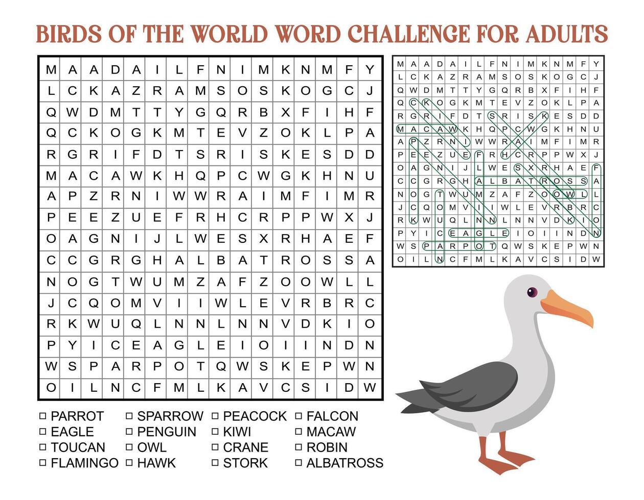 Birds of the World Word Challenge for Adults vector