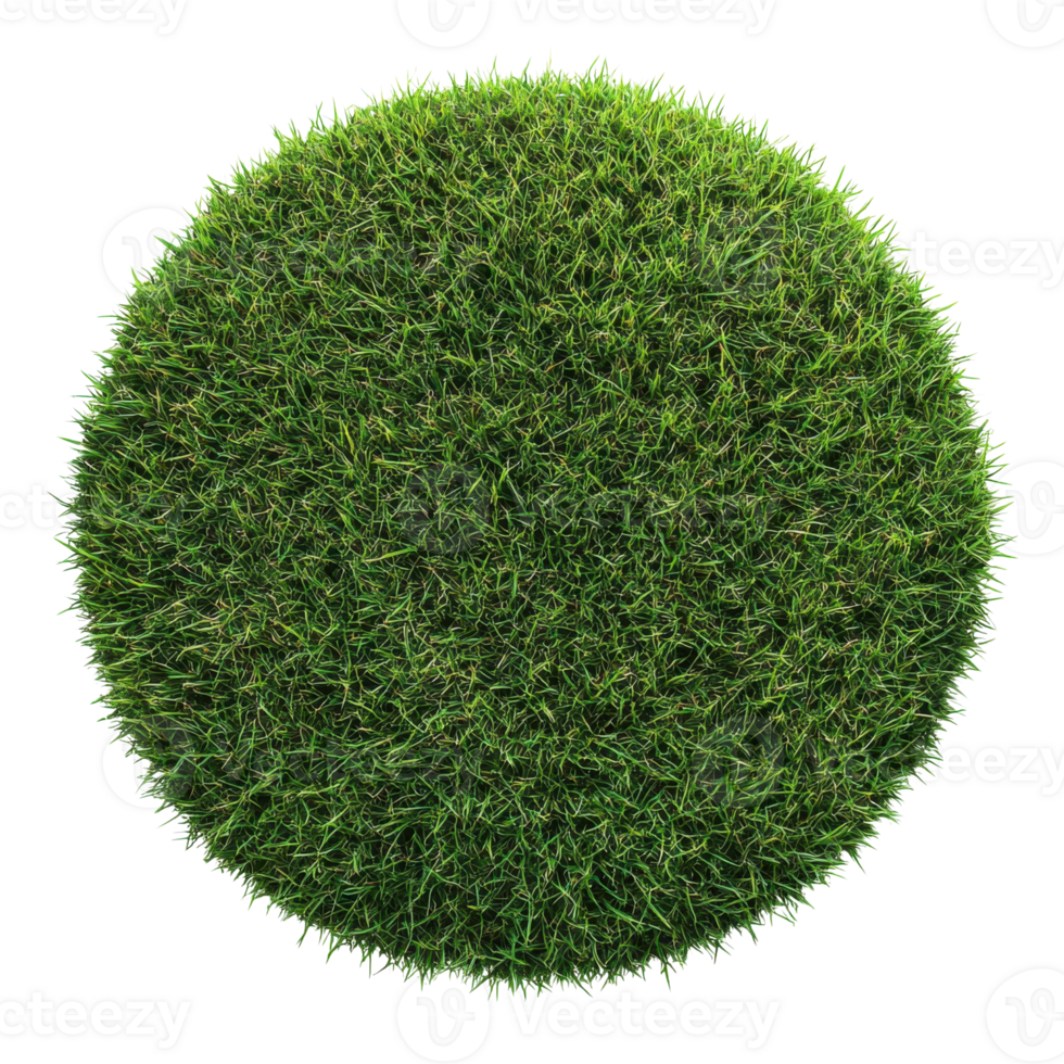 Circle of green grass on transparent Background png