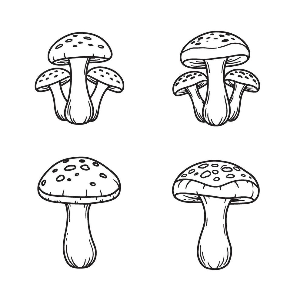 Hand Drawn Mushroom Art in black and white line style with natural look vector