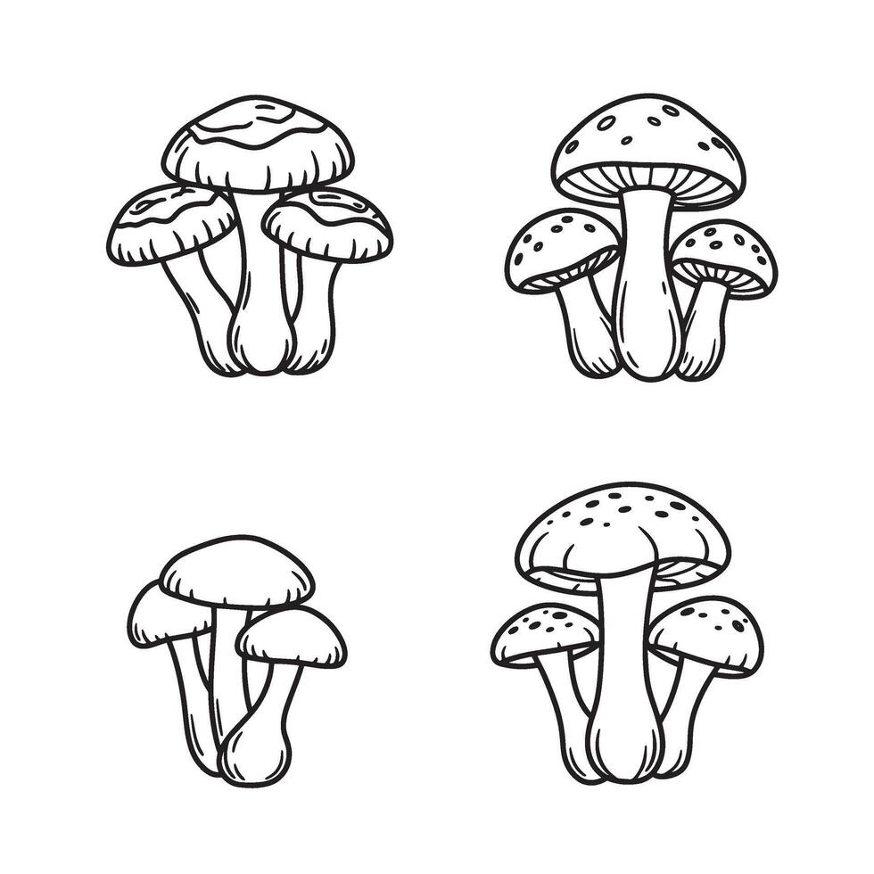 Botanical Hand Drawn Mushroom Art with earthy and clean black lines vector