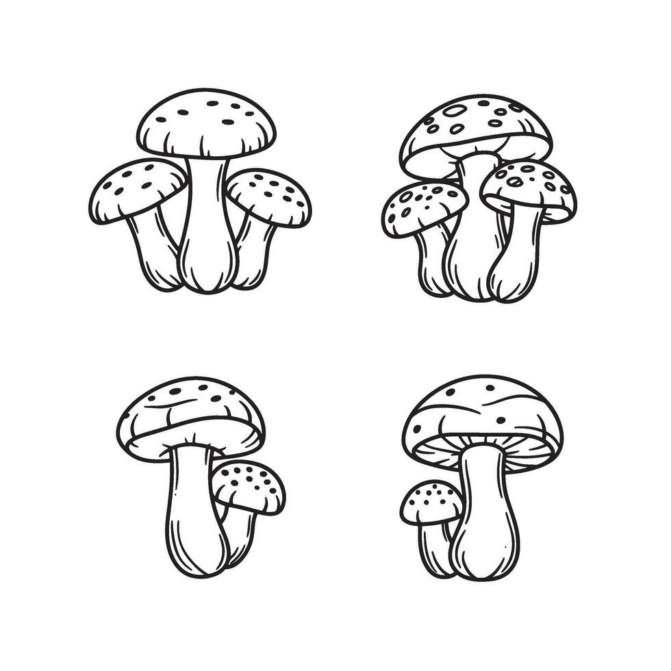 Elegant Hand Drawn Mushroom Art set with various mushroom species vector