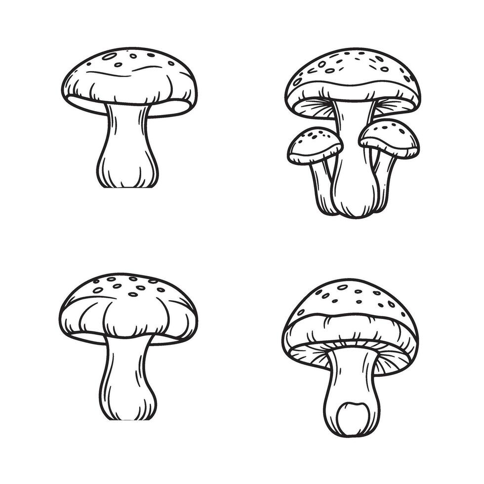 Hand Drawn Mushroom Art set showcasing edible and wild mushroom varieties vector