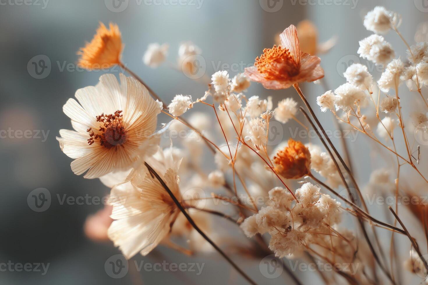 Bouquet of Dried Field Flowers photo