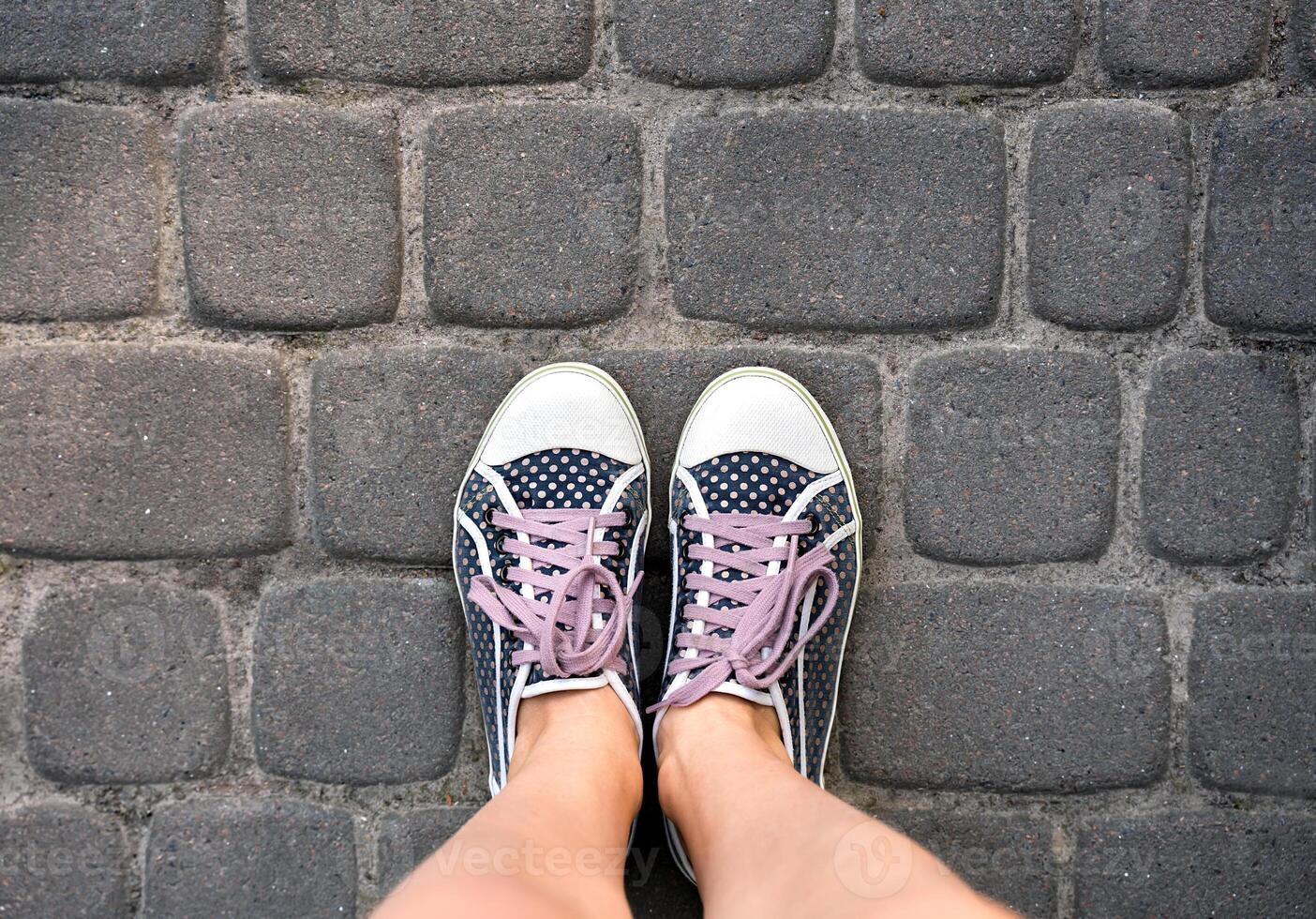 Woman's legs in polka dot sneakers on the stone road. Top view. Copy space. photo