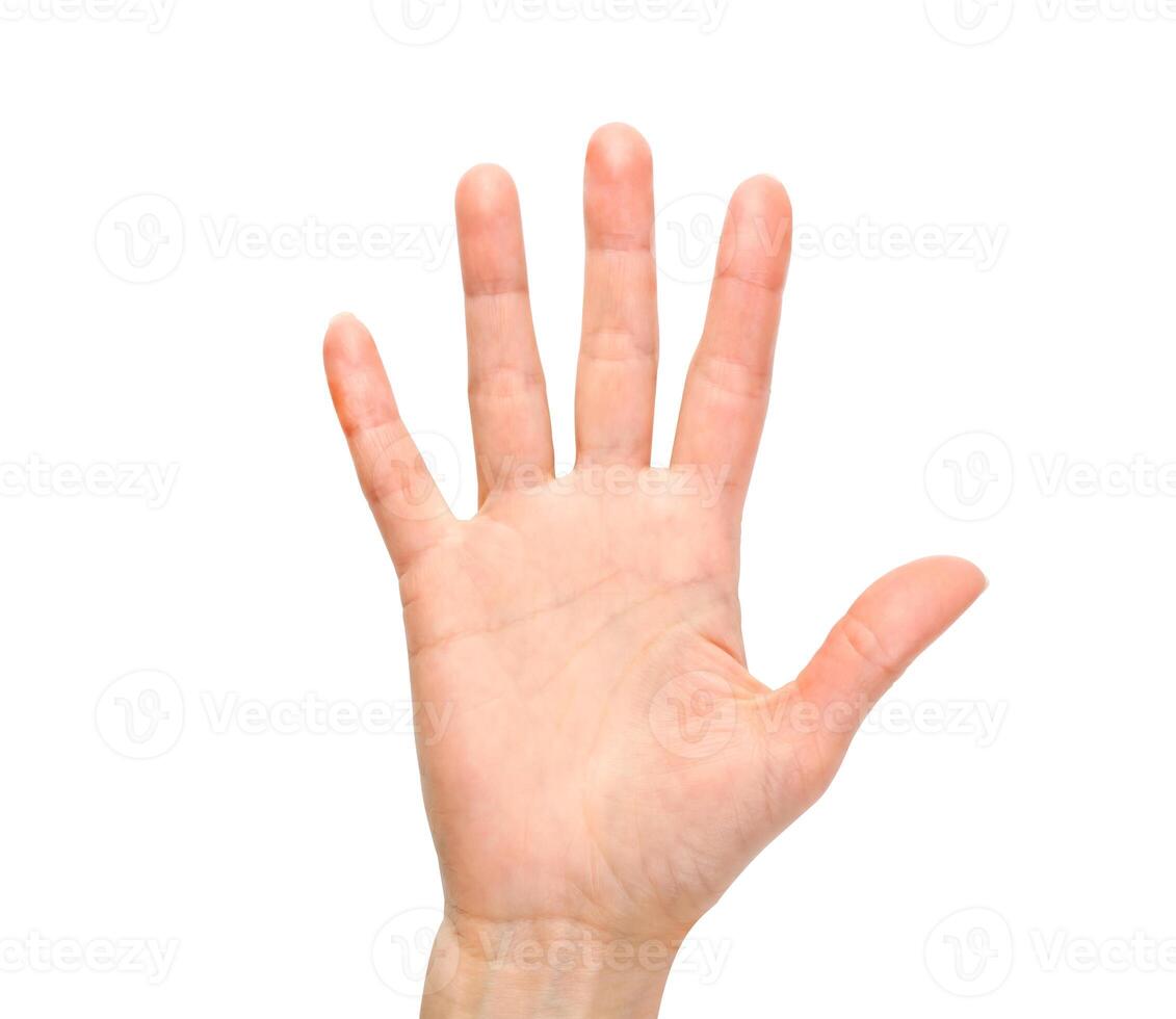 Woman hand showing the five fingers isolated on a white background. Front view. Close-up. photo