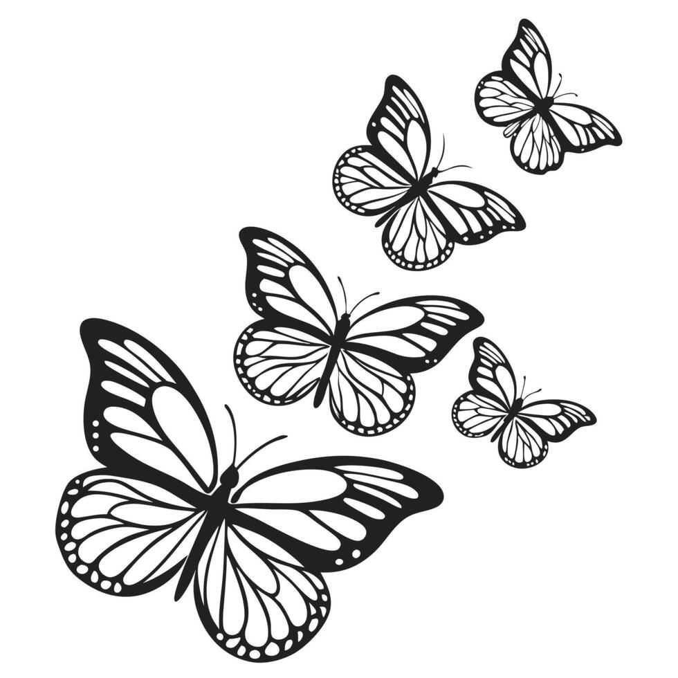 A minimalist representation of butterflies, their intricate patterns rendered in bold black lines on a clean backdrop. vector