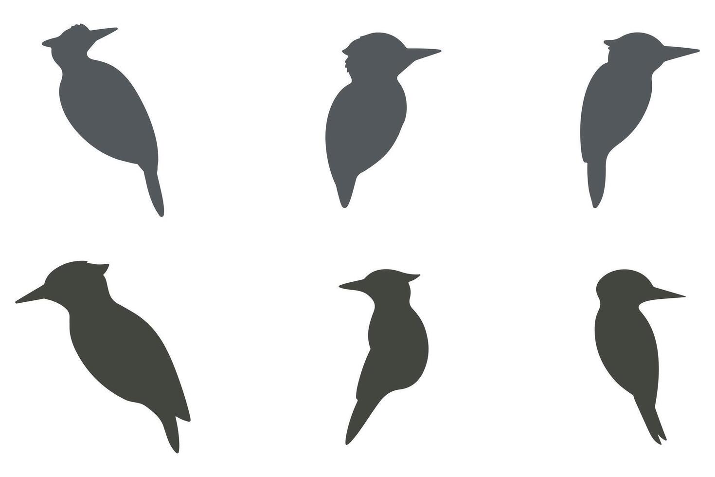Woodpecker Silhouette Icon Set. Animal Illustration Design vector