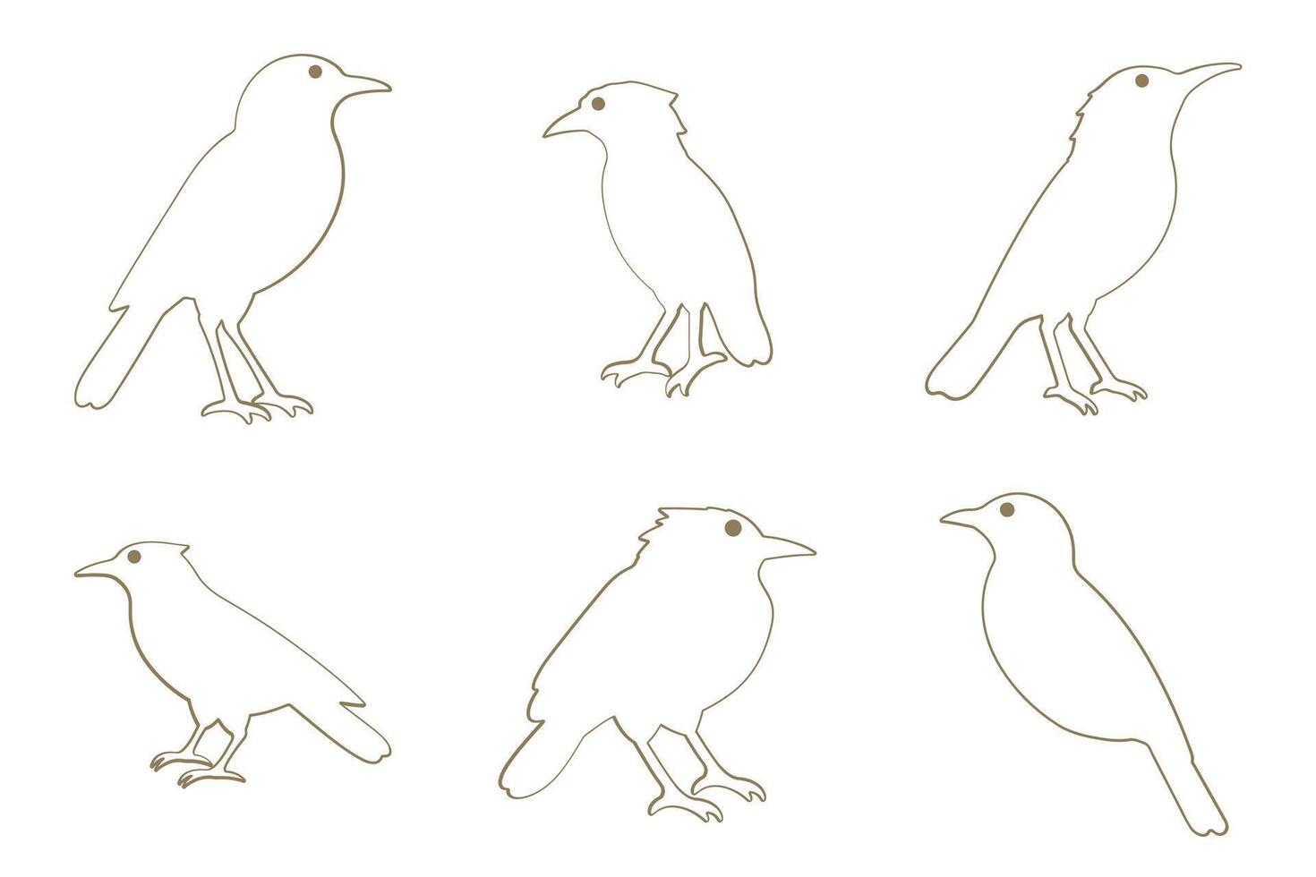 Xenops Bird Outline Icon Set. Animal Illustration Design vector