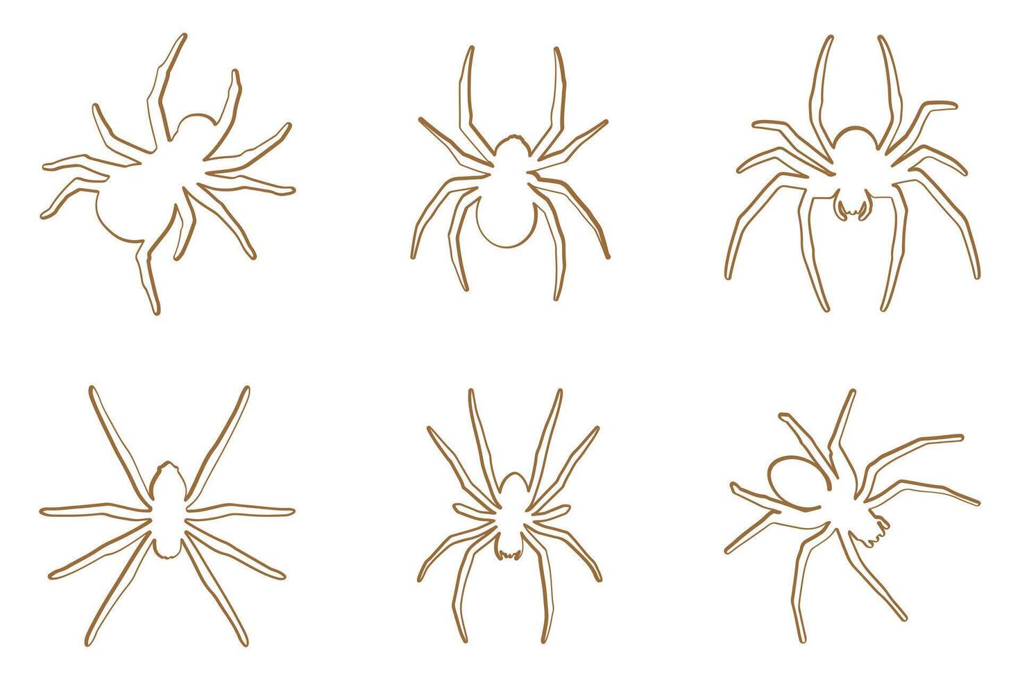 Widow Spider Outline Icon Set. Animal Illustration Design vector