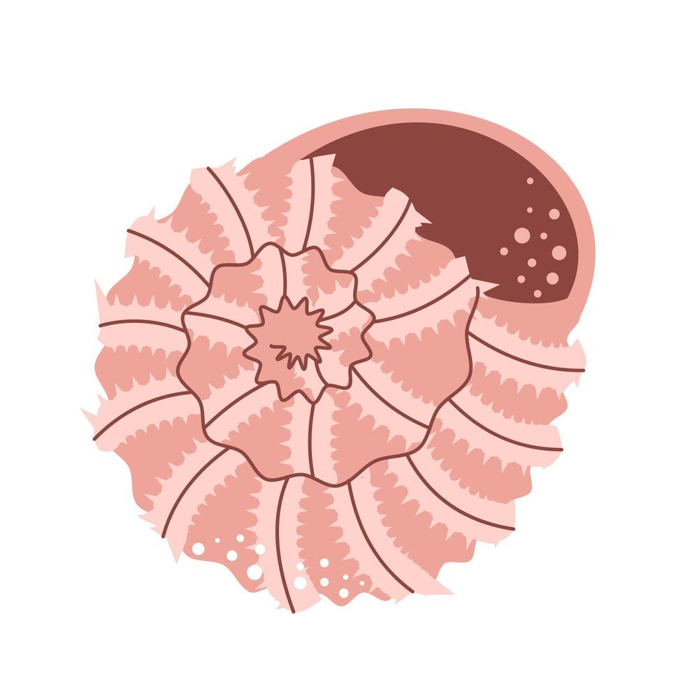 Spiral seashell icon. Marine and beach theme. Flat illustration vector