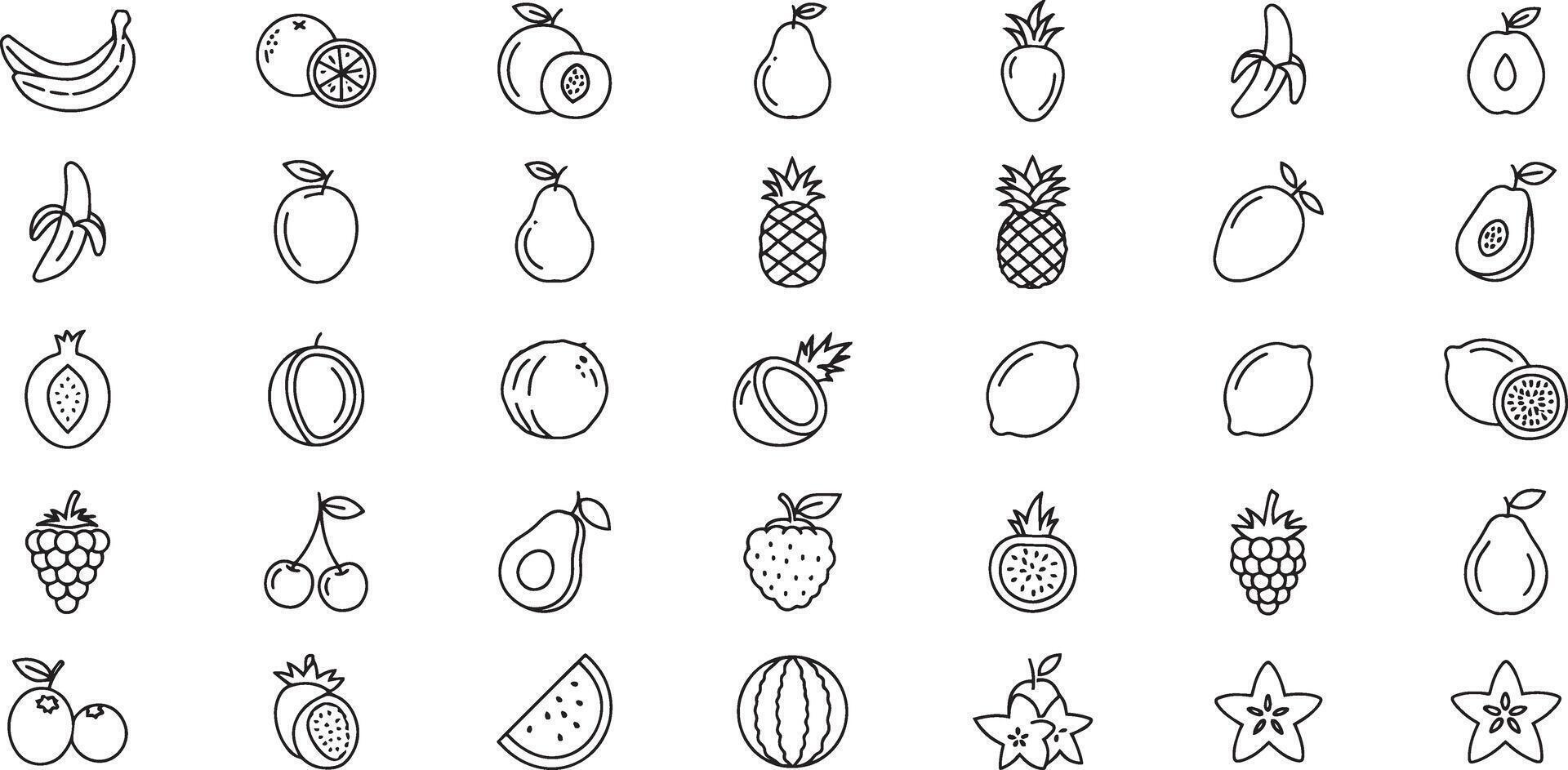 Collection of various fruit in a line art style vector