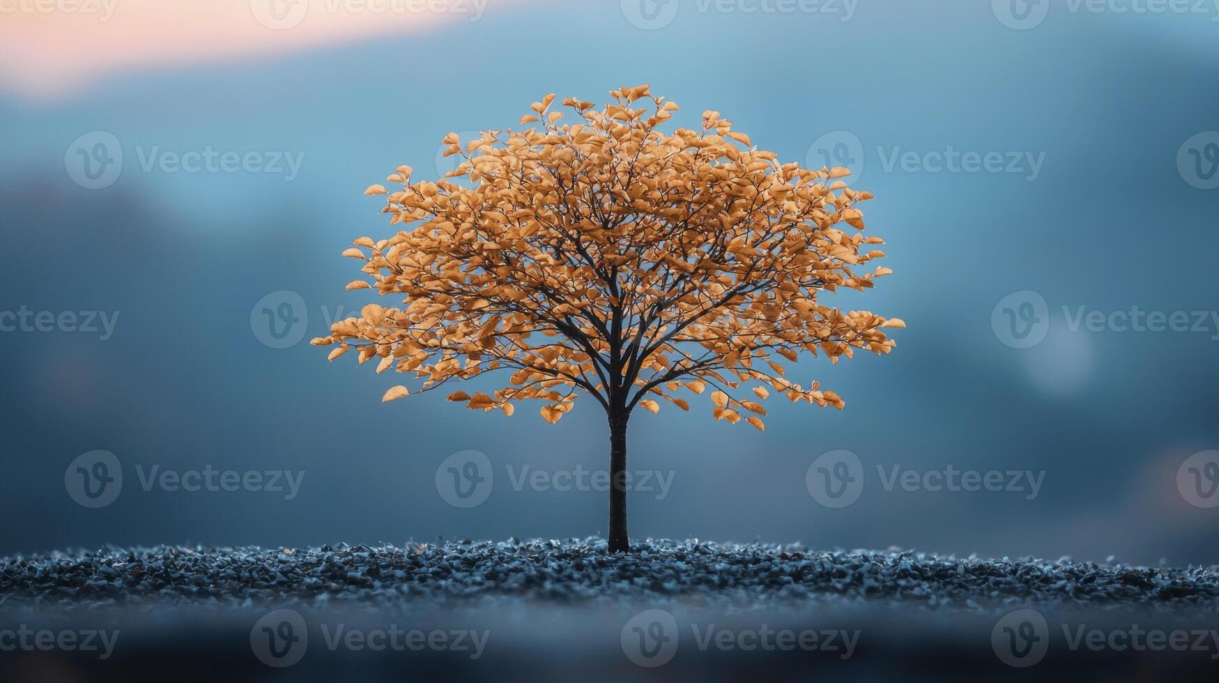 A single tree in the middle of a field photo